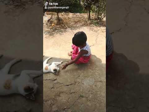 Diya playing with cat 🙀