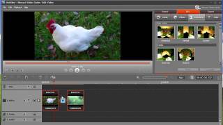 Movavi Video Suite 10 Review and Demo