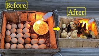 How to make Egg Incubator Without any Temperature controller - Hatch chicks In Wooden Box