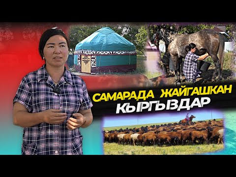 I was happy to see a KYRGYZ woman who kept 500 sheep and horses🔥😍 She told me that life is like i...