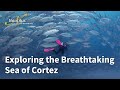 Exploring the Breathtaking Sea of Cortez on the Luxurious Nautilus Gallant Lady #baja #seaofcortez