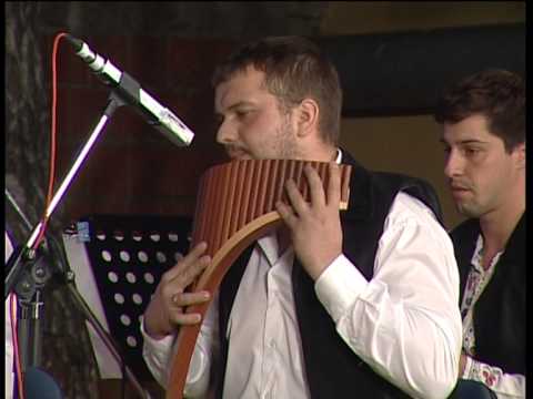 Narodni orkestar iz Banatskog Novog Sela-Suita Zonala