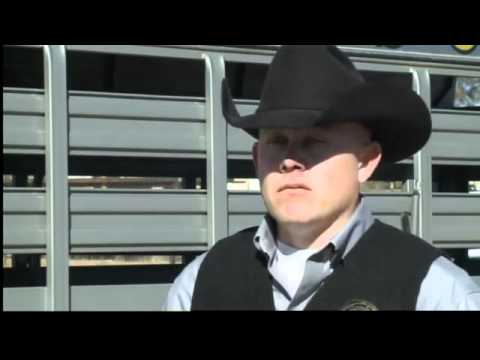 Sheriff: Tracks ended thief's spree