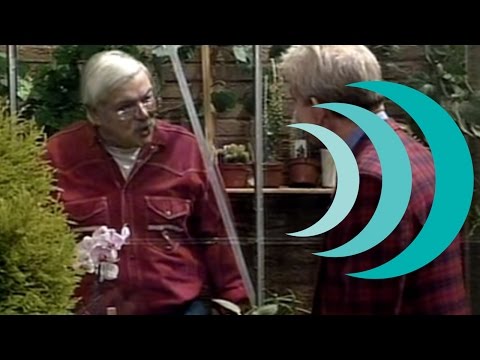 De boom (18-11-1995) • E109 S06 • Oppassen