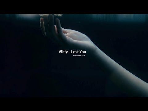 Vibfy - Lost You