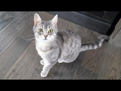 YouTube 썸네일