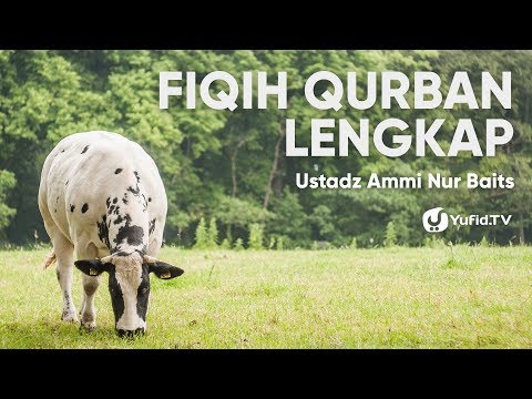 Ibadah Qurban: Fiqih Qurban LENGKAP - Ustadz Ammi Nur Baits Taqmir.com