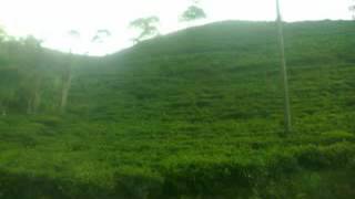 Download lagu KEMPING mp3