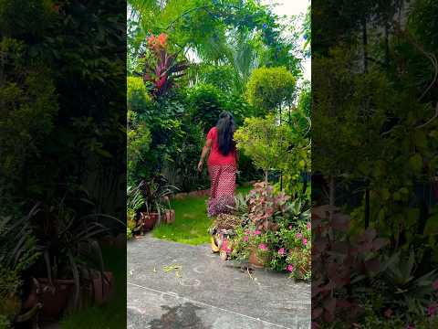 #garden #plants #gardening #flowers #gardendesign #decor #houseplants #youtubeshorts