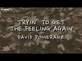 David Pomeranz - Tryin' To Get The Feeling Again (Official Lyric Video)