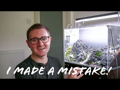How to Replant an Aquascape
