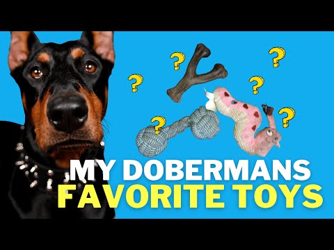 MY DOBERMAN’S FAVORITE TOYS | FROM PUPPY TO 14 MONTH UPDATE!
