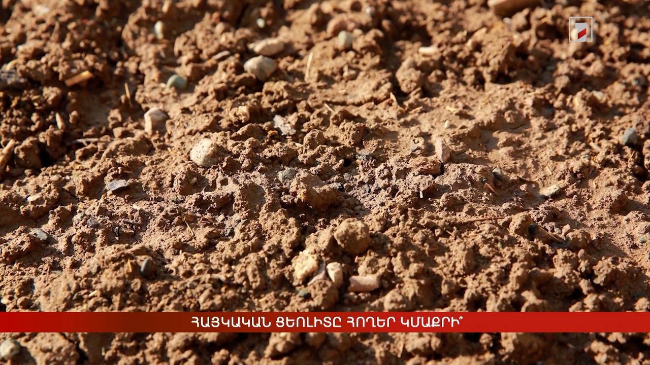 Հայկական ցեոլիտը հողեր կմաքրի՞