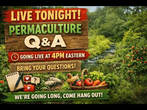 Permaculture Q&A: Your Questions Answered LIVE