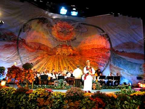 PAUL ANANIE LA  FESTIVALUL  NATIONAL  STRUGURELE DE AUR  2010  PREMIUL 1