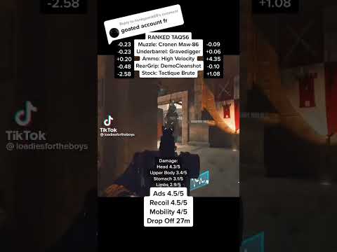 CDL Ranked Taq 56 Class setup for Main Ar role and Flex Role