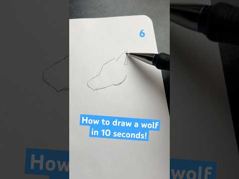 Wolf Drawing Ref