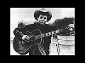 Ramblin' Jack Elliott - "Sadie Brown"