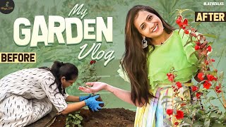 My Garden Vlog | Vegetables | Flowers | Organic Gardening | Lasya Manjunath |