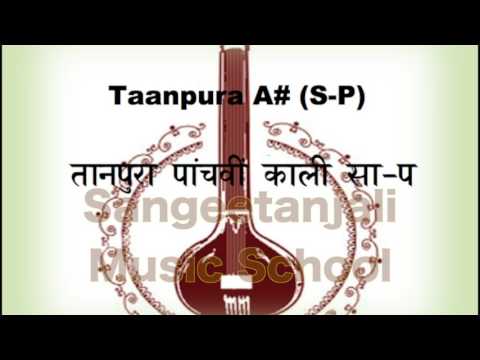 तानपूरा पाँचवीं काली - सा-प (Tanpura A# S P)