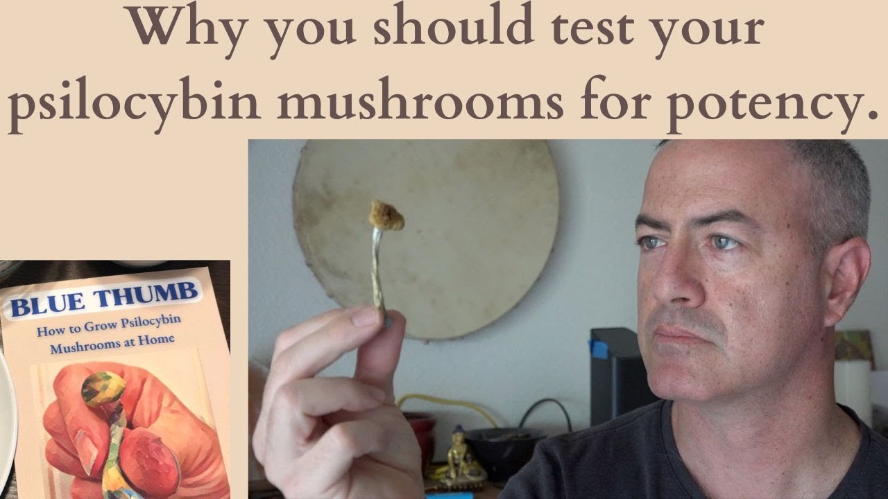 WHY you should test your psilocybin mushrooms' potency before microdosing or taking larger doses