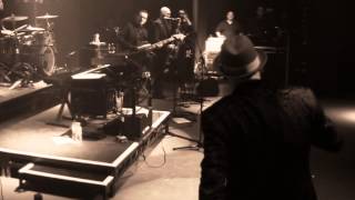 Paul Carrack - What's Going On (Live) (Exclusive)
