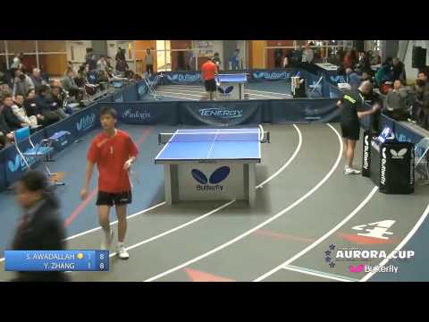 2014 Butterfly Aurora Cup - Open Singles Quarter Finals