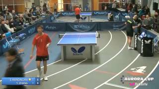 preview picture of video '2014 Butterfly Aurora Cup - Open Singles Quarter Finals'