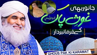 Ghous E Azam Shaikh Abdul Qadir Jilani Ki Karamat 