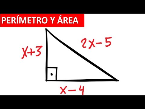 HALLAR EL ÁREA Y EL PERÍMETRO DE UN TRIÁNGULO RECTÁNGULO