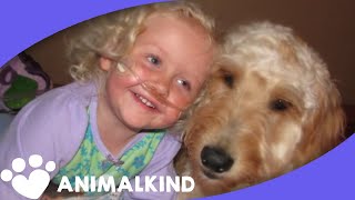 Toddler's dog isn't only a playmate, he's a life saver