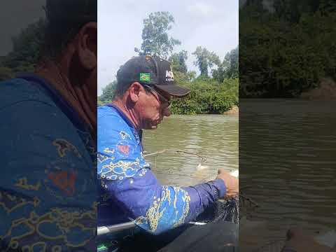 pescaria de piaus três pintas rio pilões Iporá Goiás