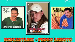 Descartame - Pedro Arroyo  Dj Alejandra PALTA