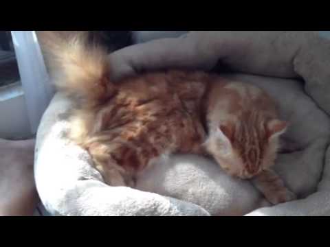 Shiju was trying her new bed, love u so much