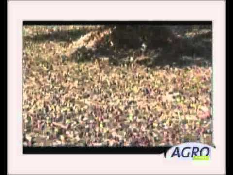 AgroImport Argentina - Institucional Campagnola 2012