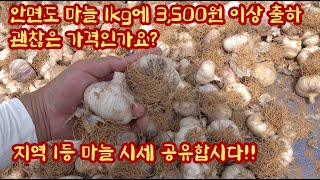 소쪽 심어서 안면도 1등한 마늘!!! 1kg에 3,500원 이상 가격으로 출하하였습니다!! 다른 지역 마늘 …