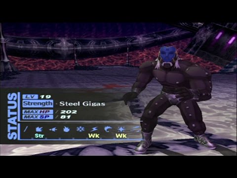 Persona 3 FES Max Social Links: Tartarus Part 10 - Training Day