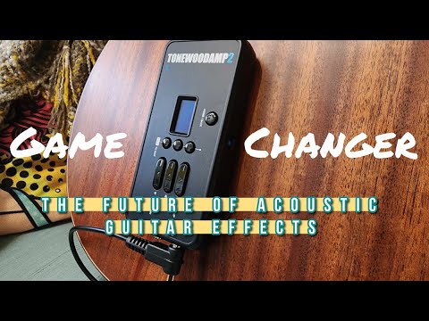 You've gotta hear this! ToneWoodAmp2 Demo & Sound Test