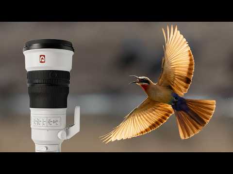 African Safari Hide Sony A1: A Day in Zambia's Last Watering Hole Blind.