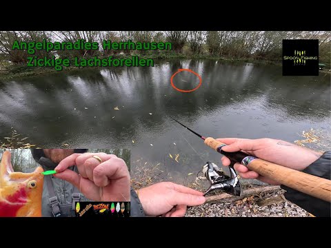 Storm and rain | Fidgety rainbow trout | Herrhausen fishing paradise | Trout fishing
