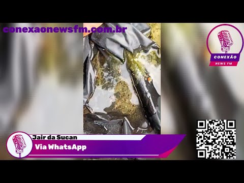 Guerra contra o Mosquito da Dengue Vigilância Sanitária em Ação