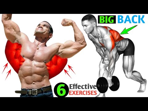 6 Quick And Effective Exercises To Build A Bigger Back