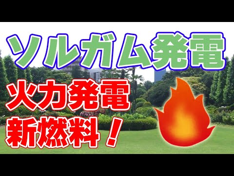 園芸 栽培ソルガム、コモンソルガム
