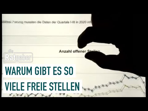 Arbeitskräfte gesucht – warum es so viele Leerstellen gibt | Die Ratgeber