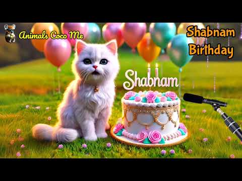 SHABNAM HAPPY BIRTHDAY SONG WITH NAMES | Adorable Cute Cat 😺