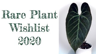 Rare Plant Wishlist for 2020!