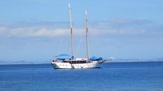 Schooner Whales Tale Cruise