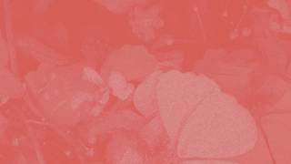 Video Waiting Around (Audio) de Aisha Badru