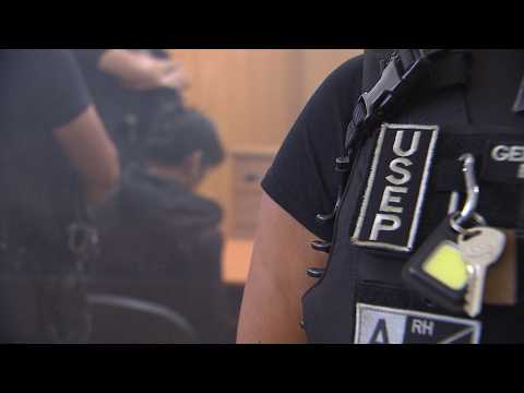 Femicidio de joven de 23 años en Panquehue | 24 Horas - Red Valparaíso