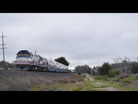 Railfanning the Bay Area 2/20/23-3/3/23 feat. Caltrain, hornshows, ACE, & More!!